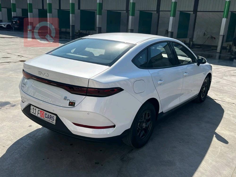 بي واي دي Qin Plus
